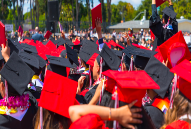 Effects of Self-Determination and Career Education Curriculum on Students with Disabilities