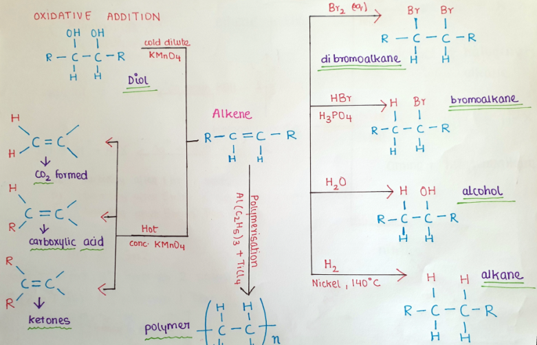 MindMapS4