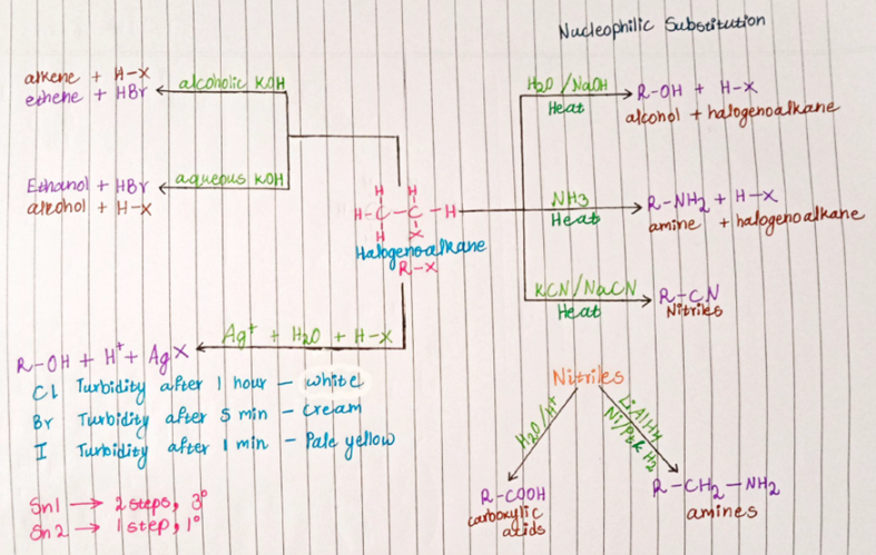 MindMap_Cover&S2